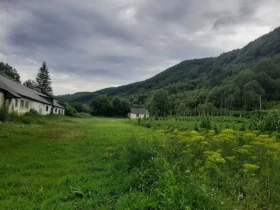 земель на Закарпатті