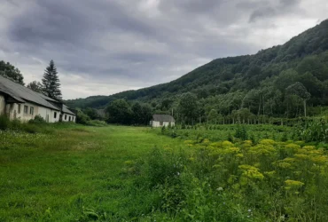 земель на Закарпатті