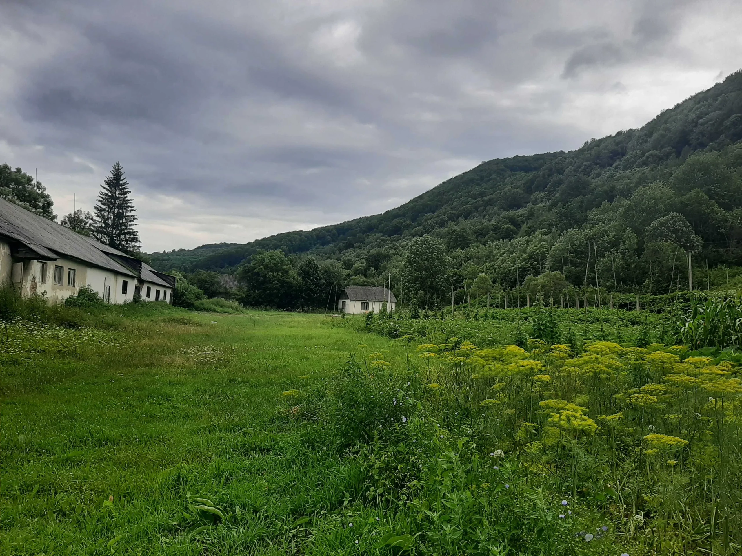 земель на Закарпатті