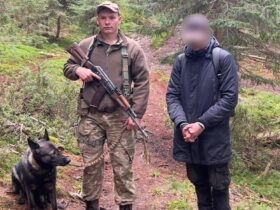 військовослужбовці, пункти пропуску