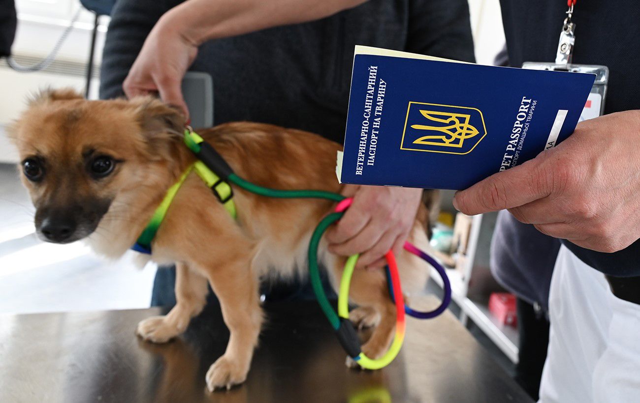 ветпаспорт для тварини