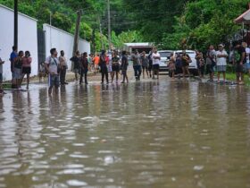 Потужні зливи в Мексиці