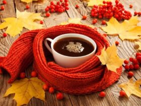 осінь Закарпаття