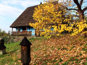 осінь закарпаття