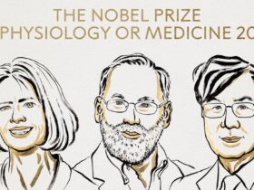 людина, відкриття