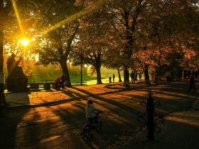 осінь Закарпаття