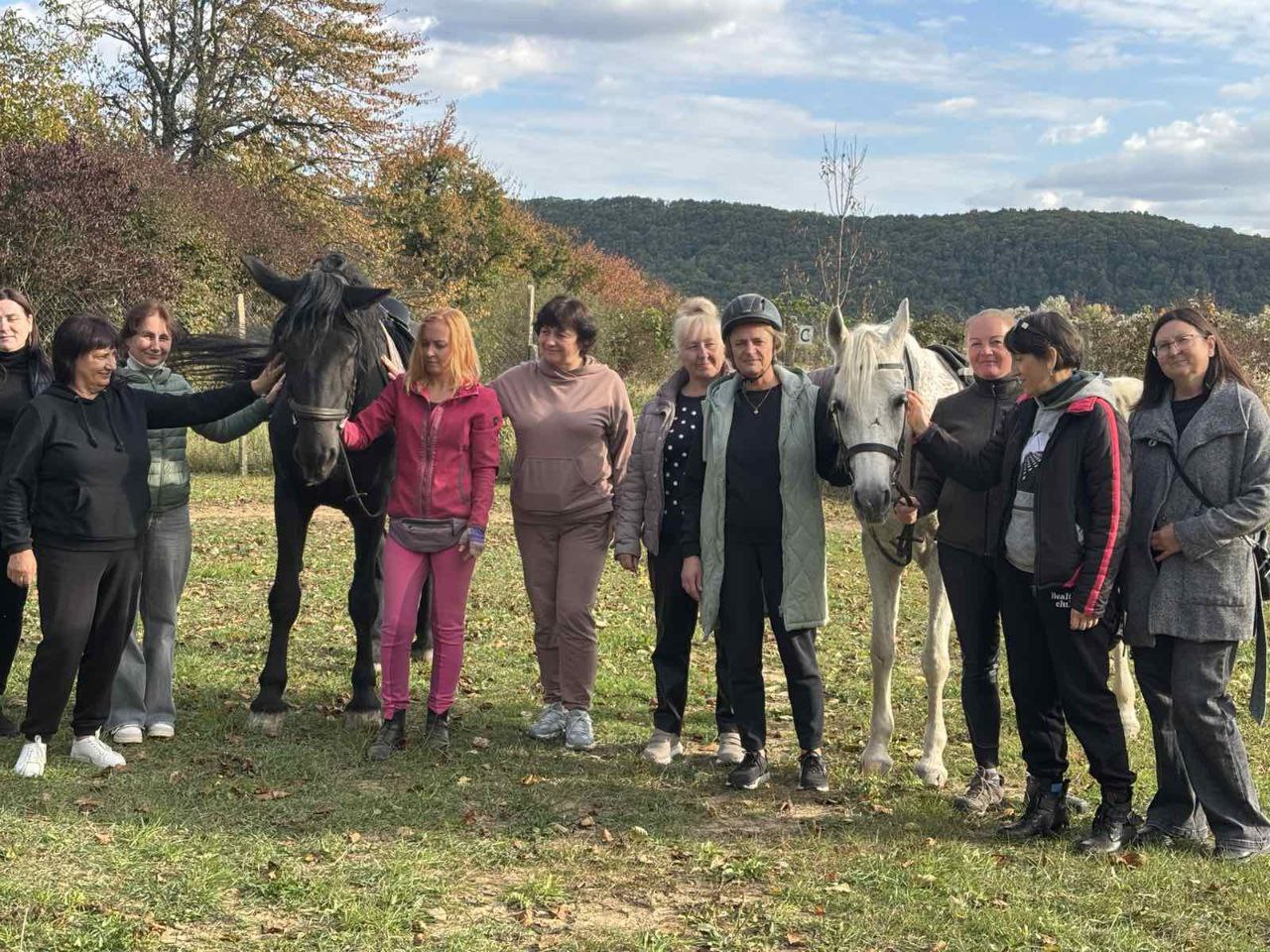 конюшня, заняття із кіньми