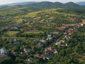 власність, земля