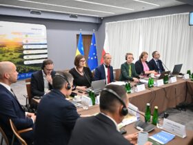 проєкт, політика