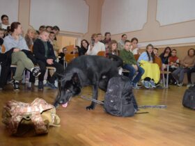 вихованці, діти