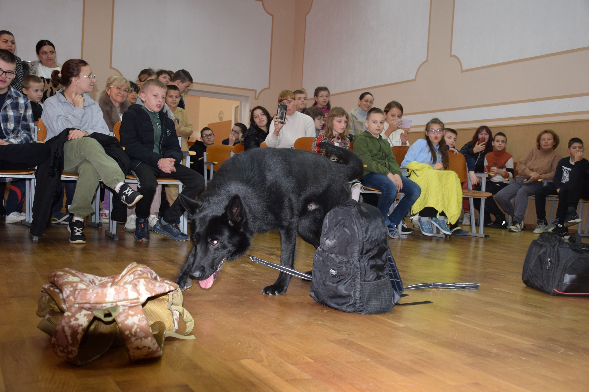 вихованці, діти