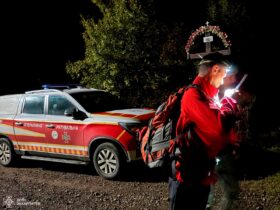 орієнтир, ліс