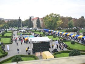 площа, освітні тренди