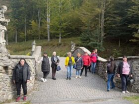 батьки, інтенсив