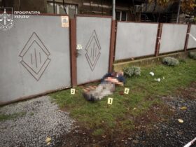 забор, труп