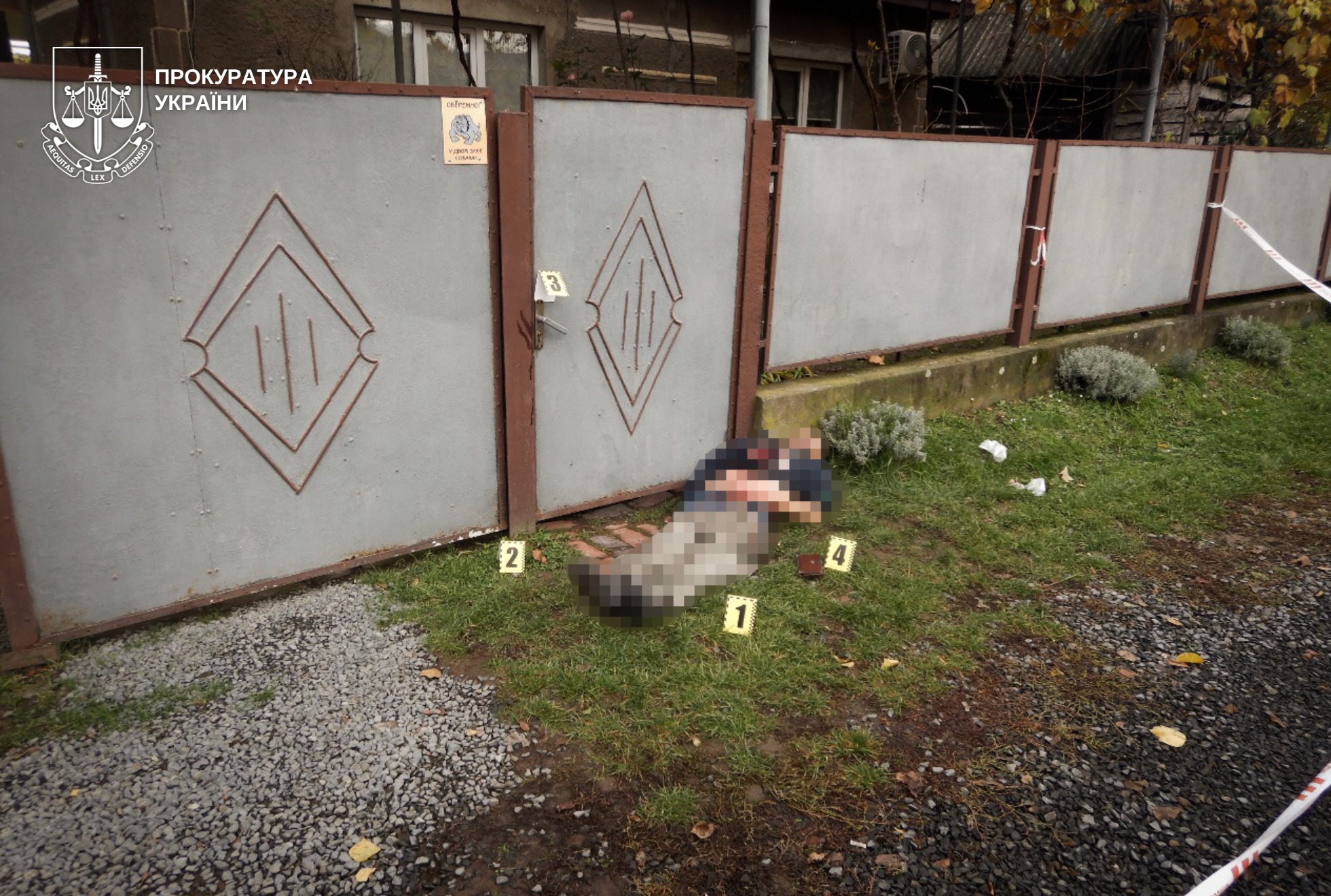 забор, труп