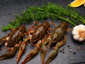 делікатес, дозвіл