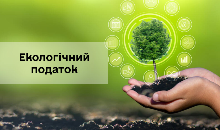 сплата, бухгалтер