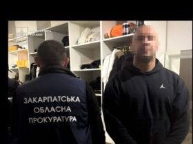 зловмисник, слідчий