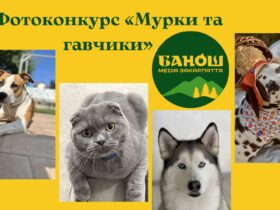 фотоконкурс