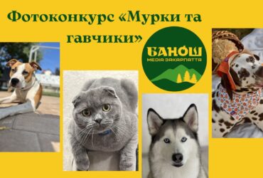 фотоконкурс