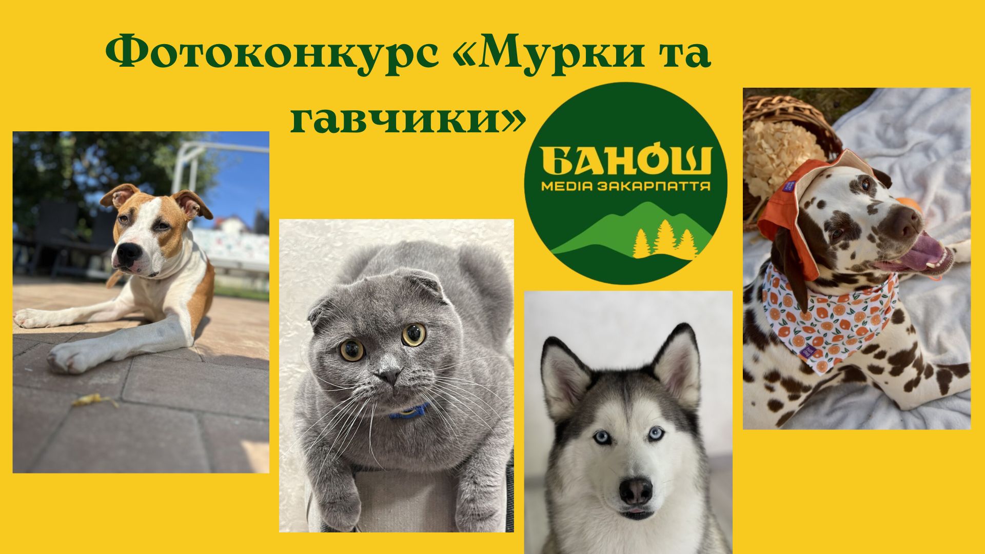 фотоконкурс