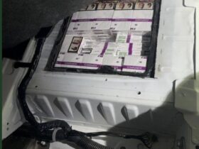 перевірка, контрабанда