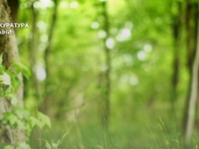 прокуратура, територія