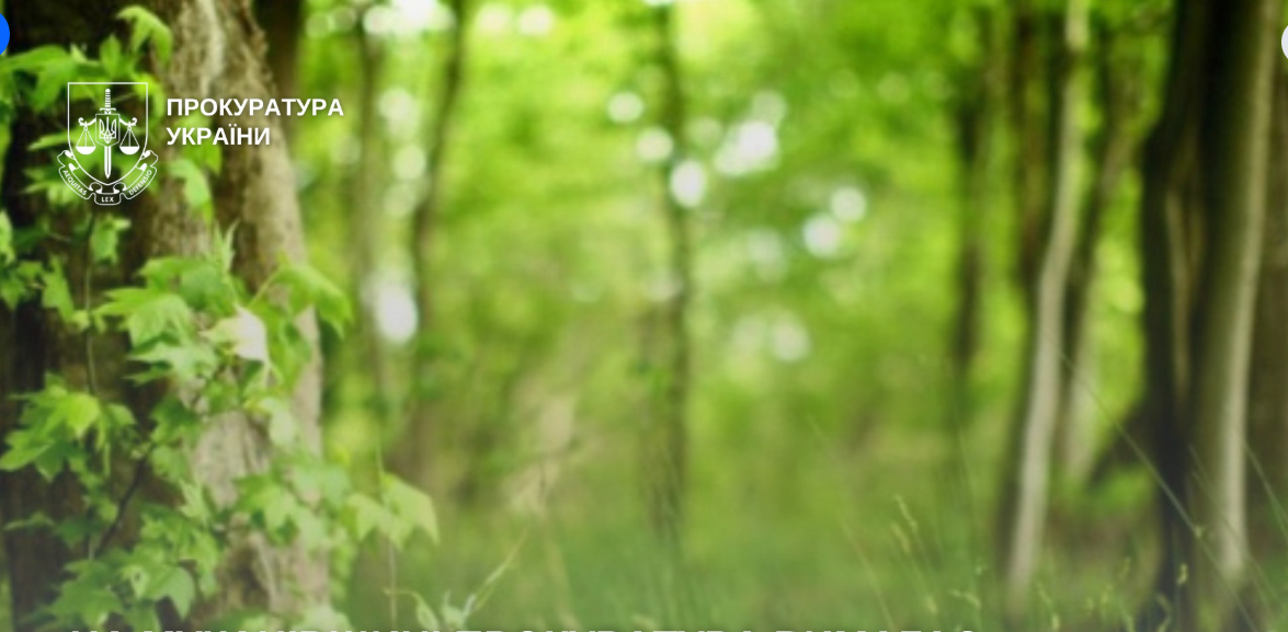 прокуратура, територія