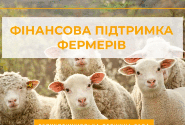 вівчарство, підтримка