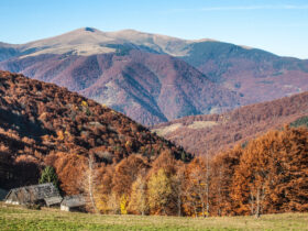 закарпаття осінь