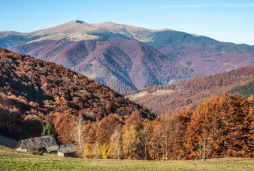 закарпаття осінь