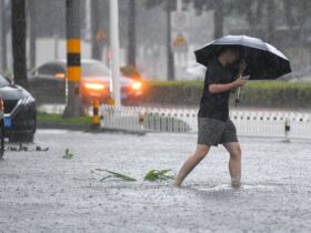 пориви вітру, шторм
