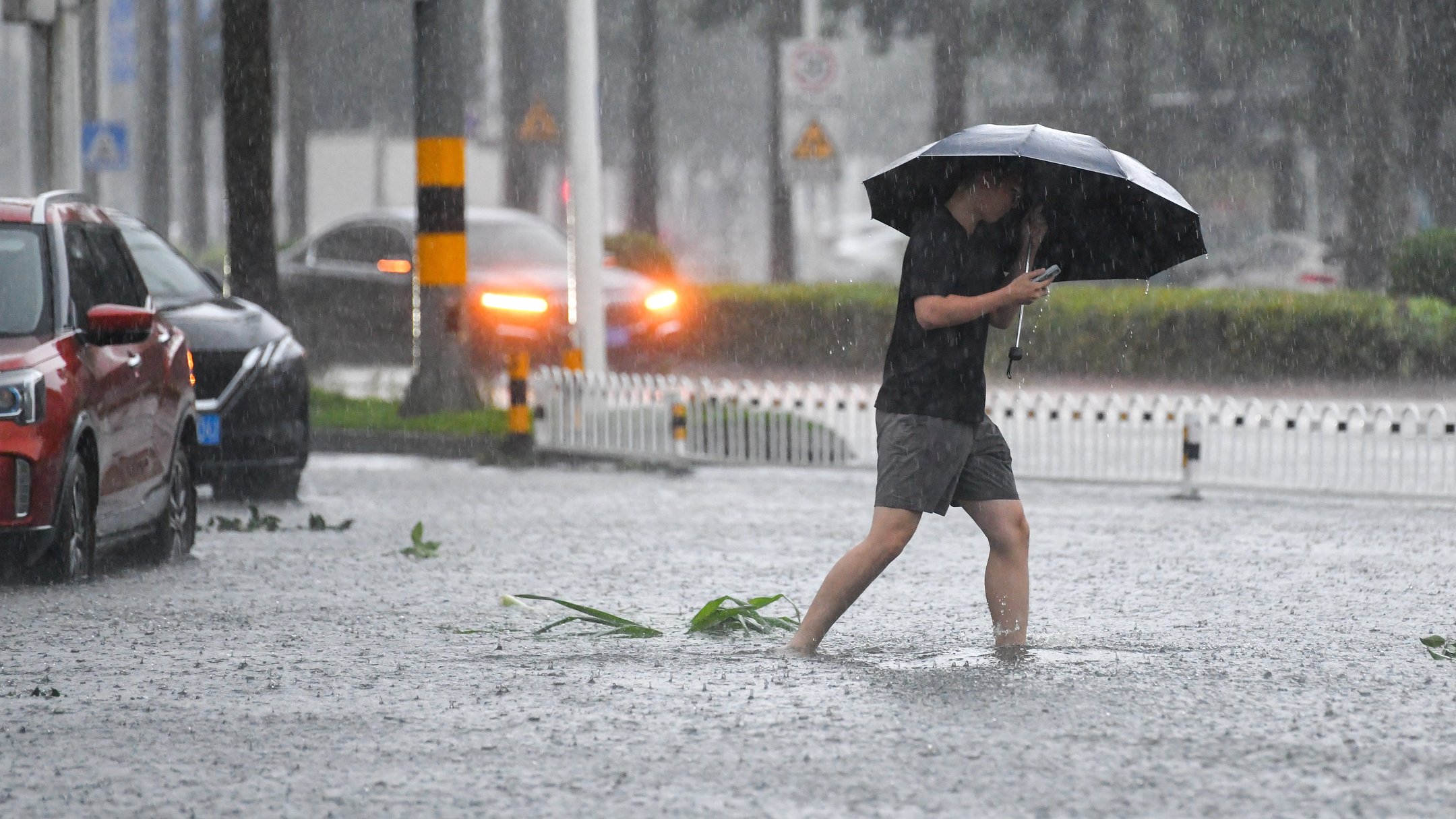 пориви вітру, шторм