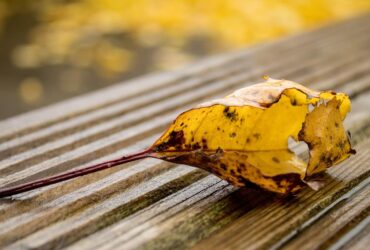 осінь закарпаття, погода