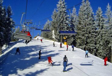 ліс, канатна дорога