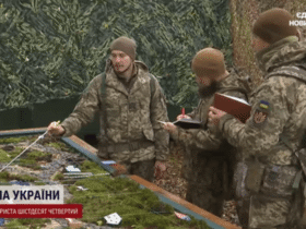 військові, ліс