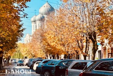 Закарпаття осінь