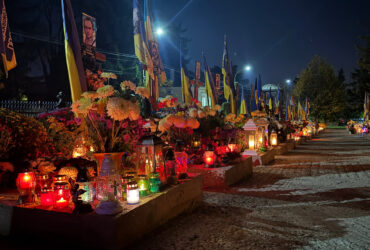 лампадки, квіти