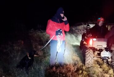 рятувальники , пес