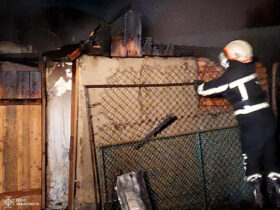 вогнеборець, сітка