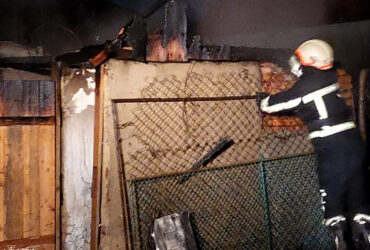 вогнеборець, сітка