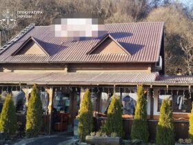 ресторан, дерева