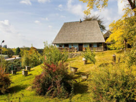В Ужгородському скансені