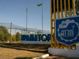 стела, назва