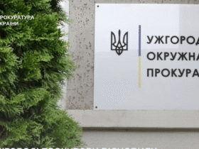 ялинка, плакат