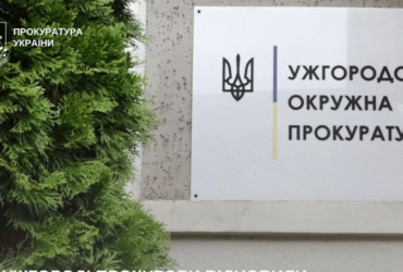 ялинка, плакат