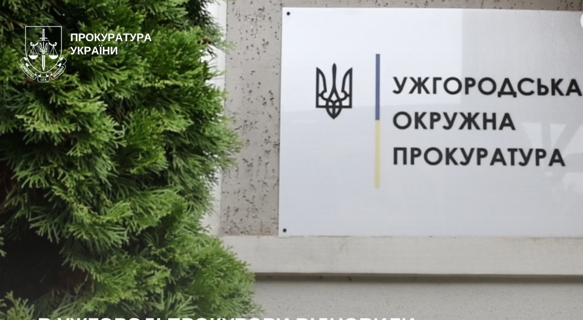 ялинка, плакат