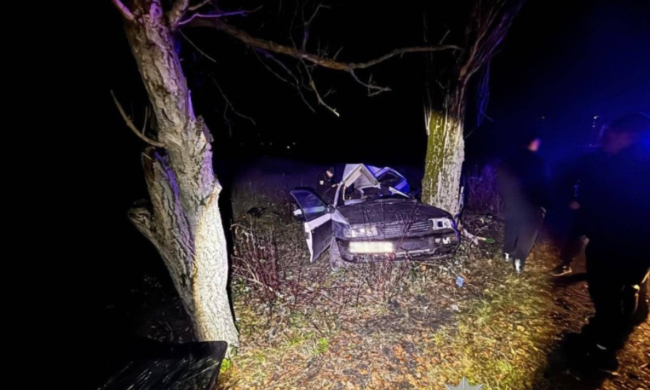 автівка, дерева