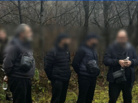 чоловіки, ліс